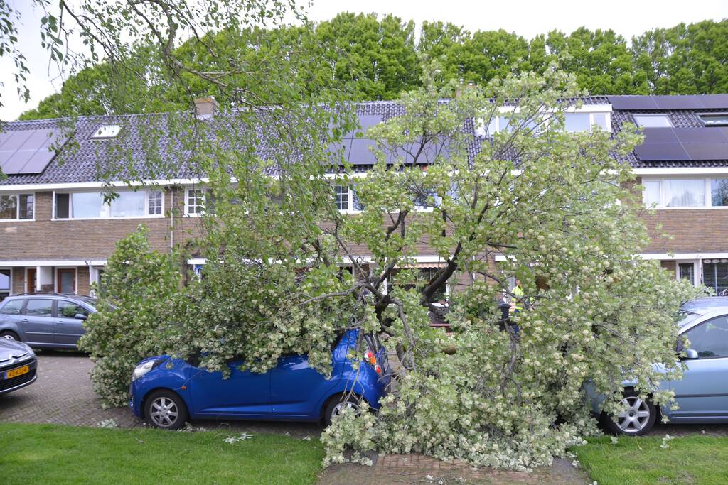 Boom waait om en valt op een auto