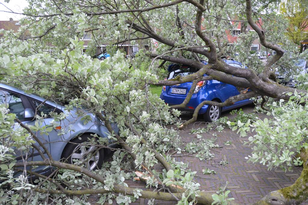 Boom waait om en valt op een auto