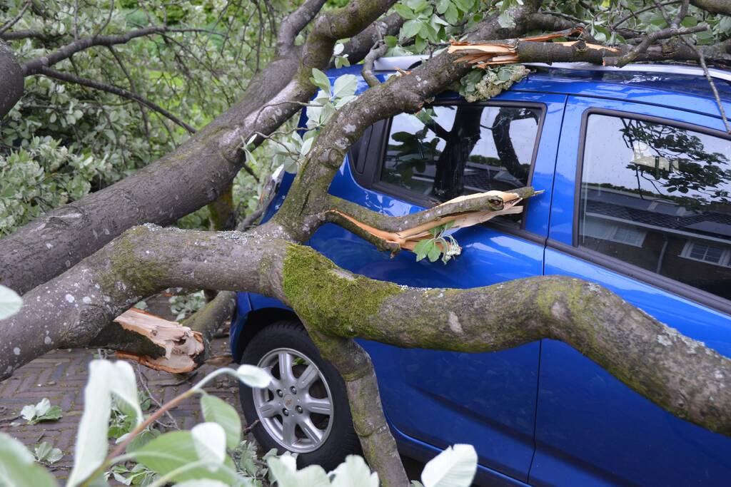 Boom waait om en valt op een auto