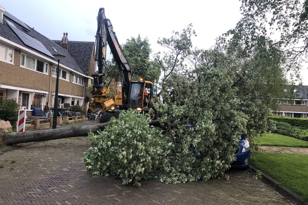 Boom waait om en valt op een auto
