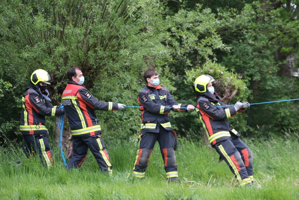 Brandweer zaagt gevaarlijke boom om