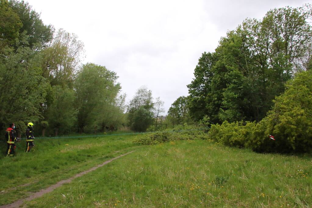 Brandweer zaagt gevaarlijke boom om