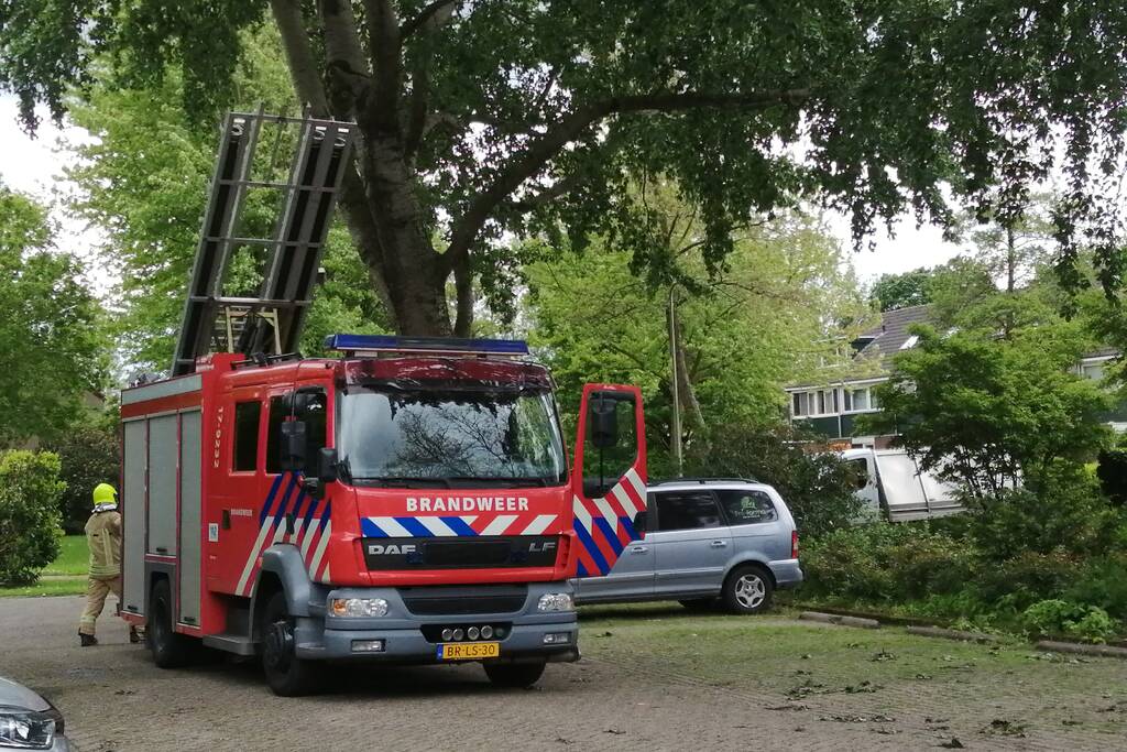 Brandweer haalt loshangende tak uit boom