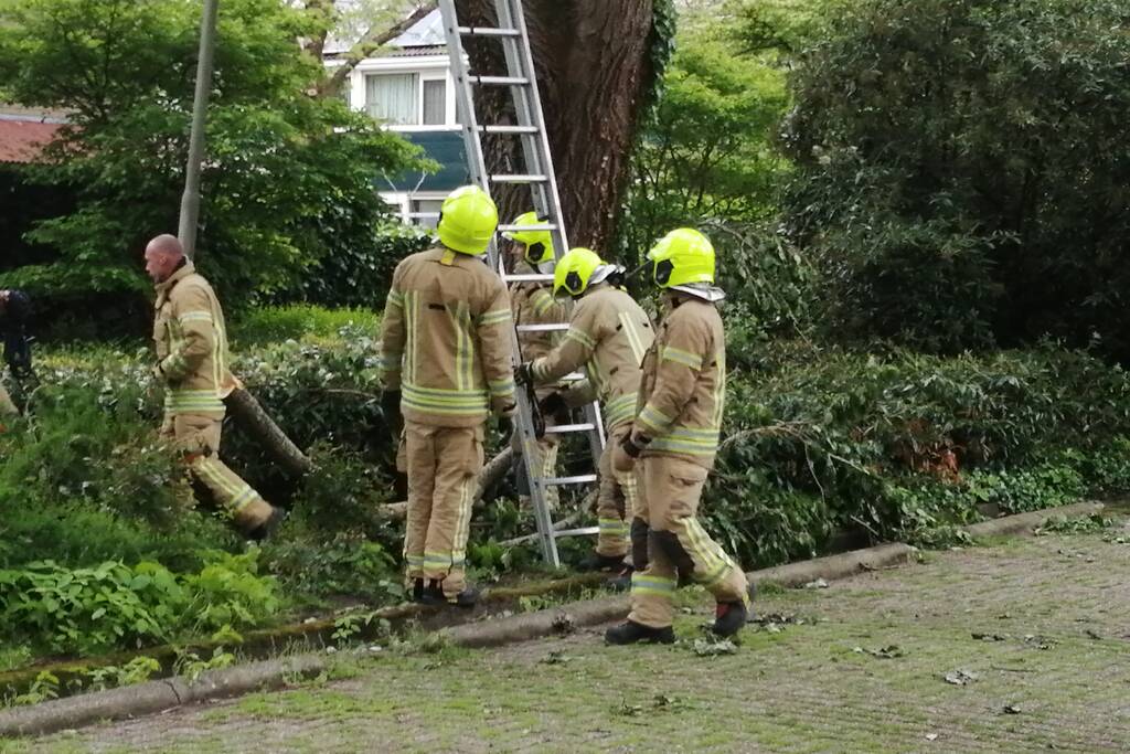 Brandweer haalt loshangende tak uit boom