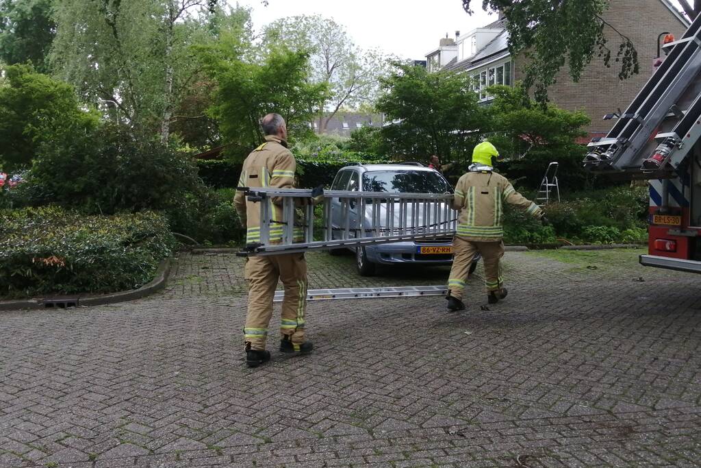 Brandweer haalt loshangende tak uit boom