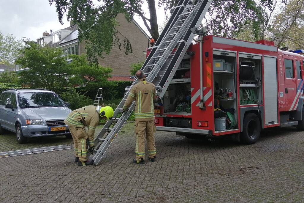 Brandweer haalt loshangende tak uit boom
