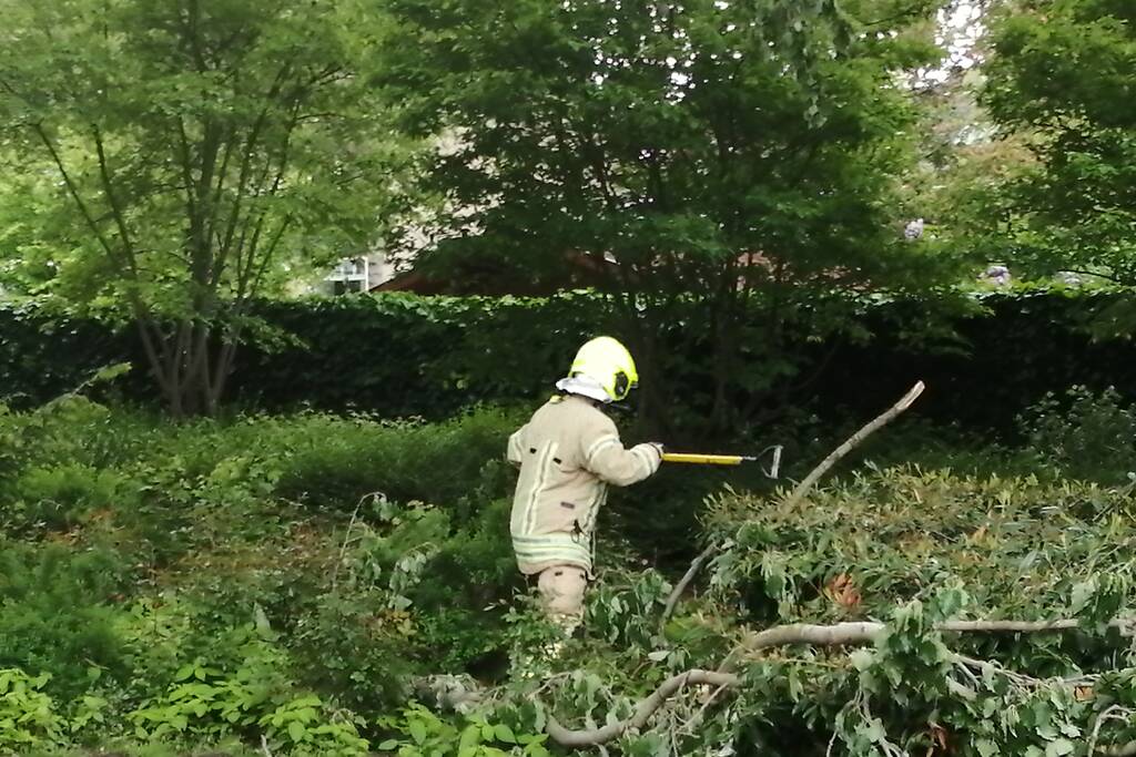 Brandweer haalt loshangende tak uit boom