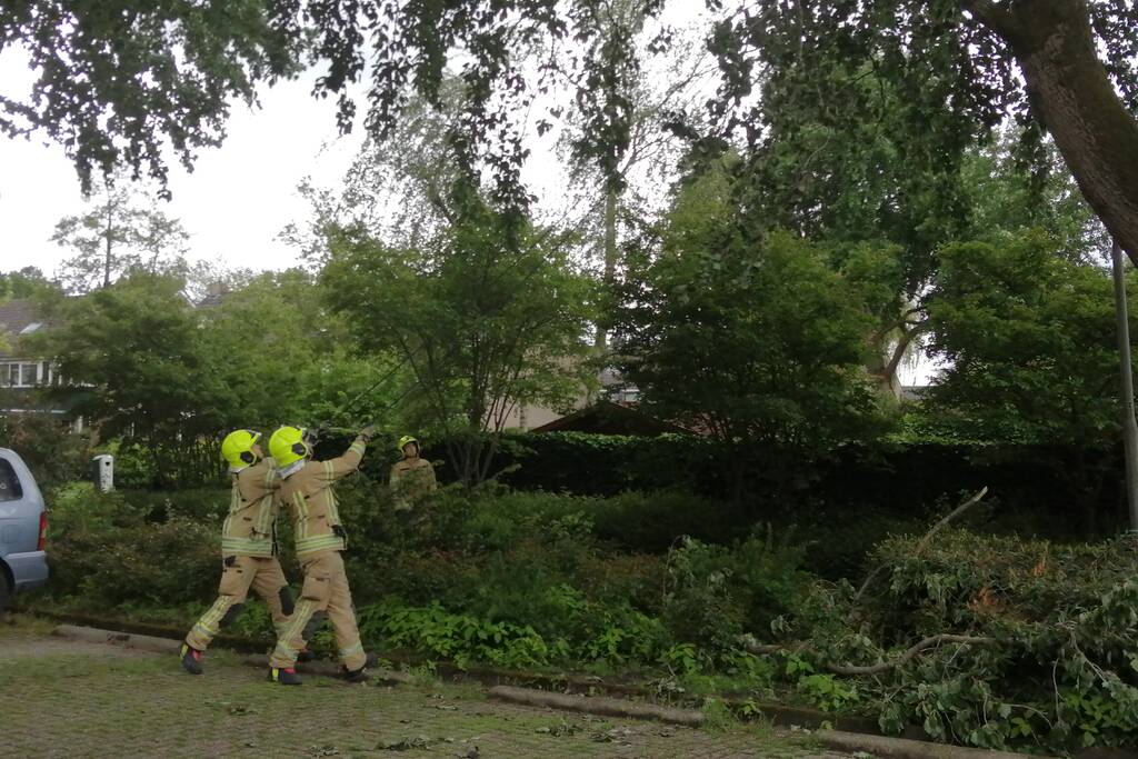 Brandweer haalt loshangende tak uit boom