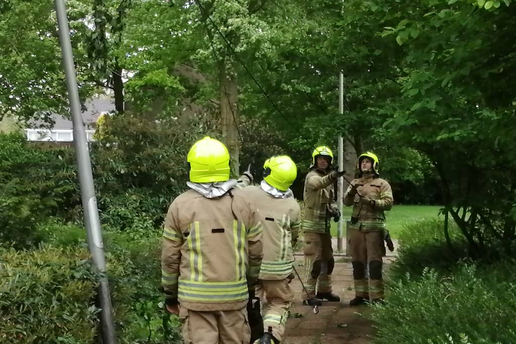 Brandweer haalt loshangende tak uit boom