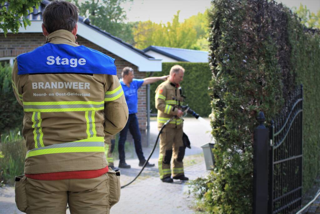 Coniferenhaag in brand door onkruid verbranden
