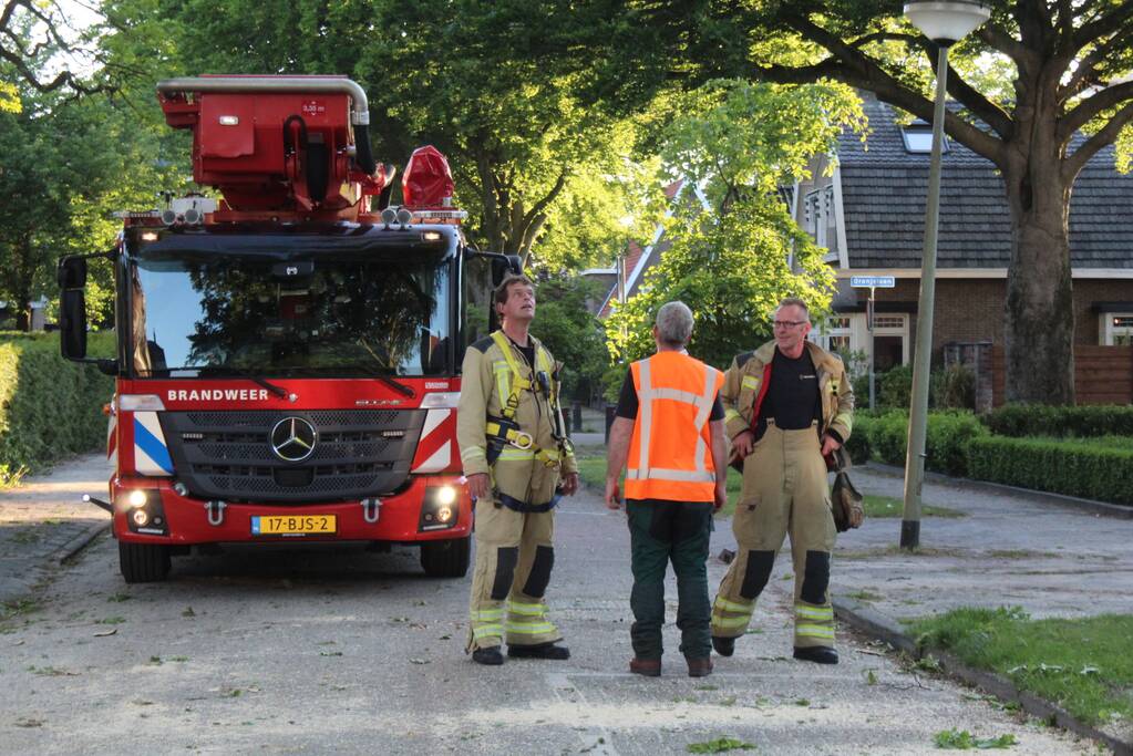 Gevaarlijk hangende tak verwijderd