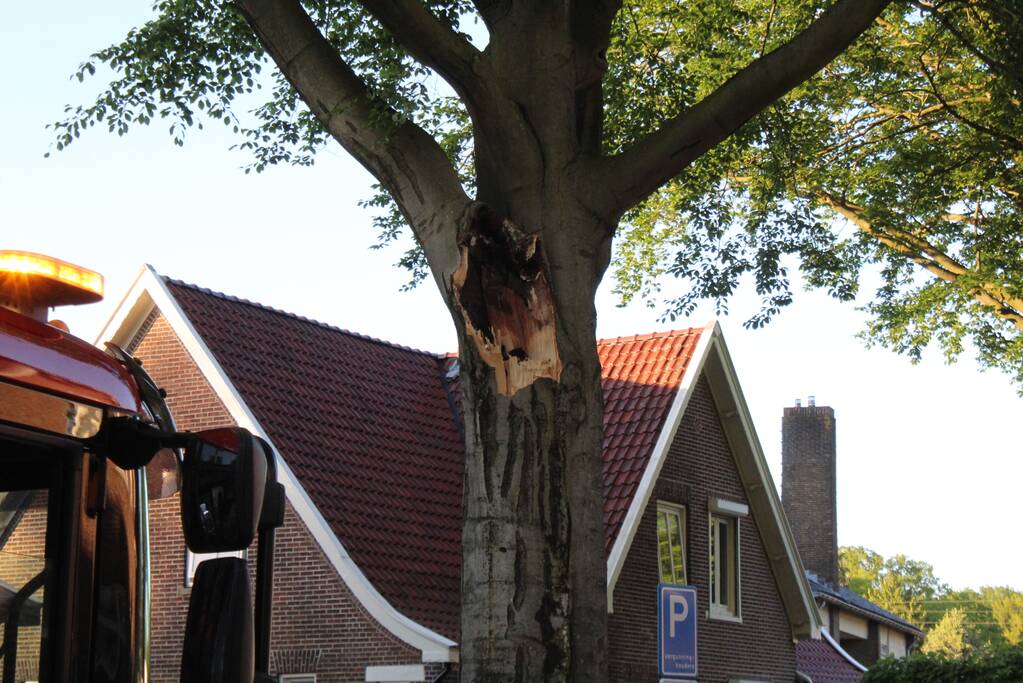 Gevaarlijk hangende tak verwijderd