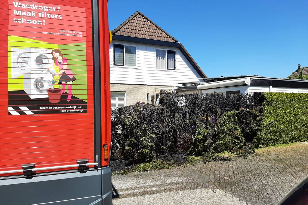 Coniferenhaag vat vlam