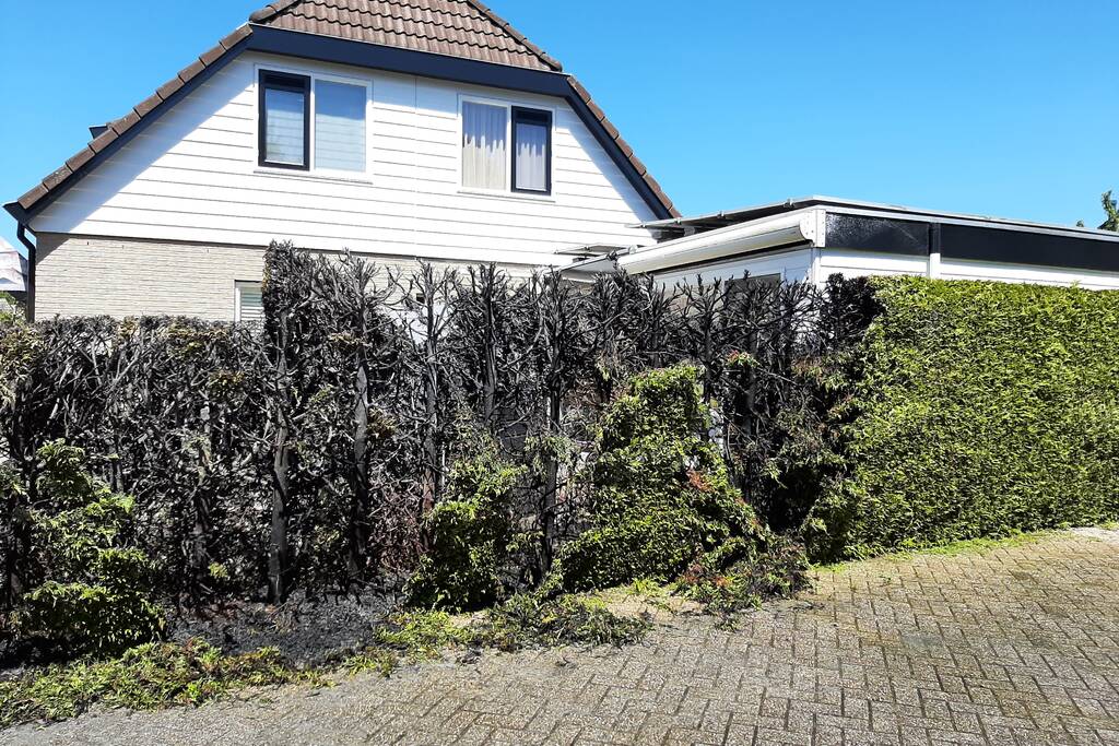 Coniferenhaag vat vlam