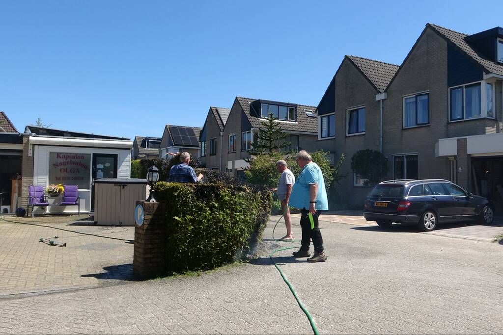 Coniferenhaag vat vlam