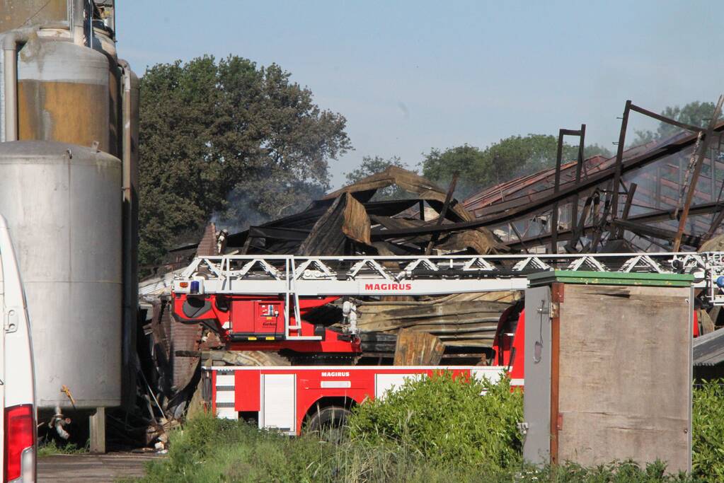Duizenden varkens omgekomen bij grote brand in stal
