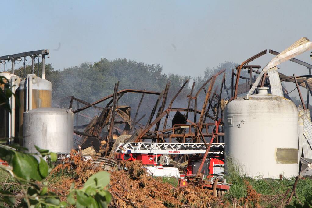 Duizenden varkens omgekomen bij grote brand in stal