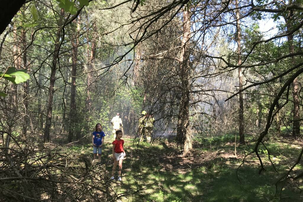 Brand in natuurgebied snel geblust