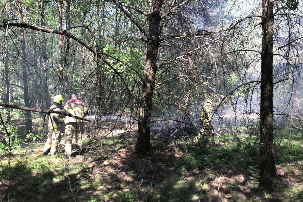 Brand in natuurgebied snel geblust
