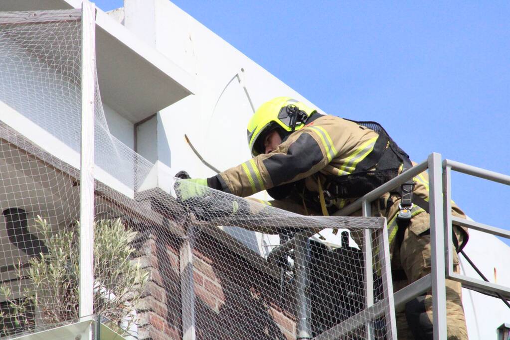 Vogel gered met brandweer hoogwerker