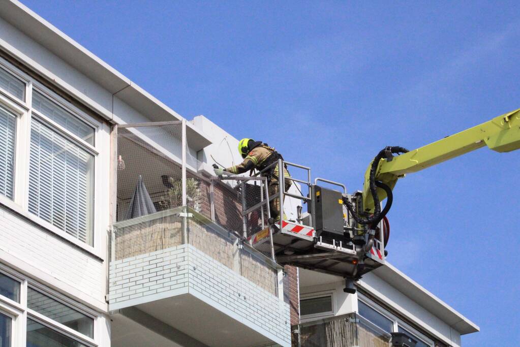 Vogel gered met brandweer hoogwerker
