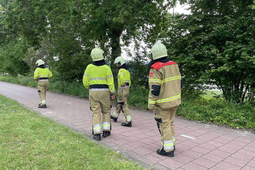 Brandweer zaagt loshangende tak los