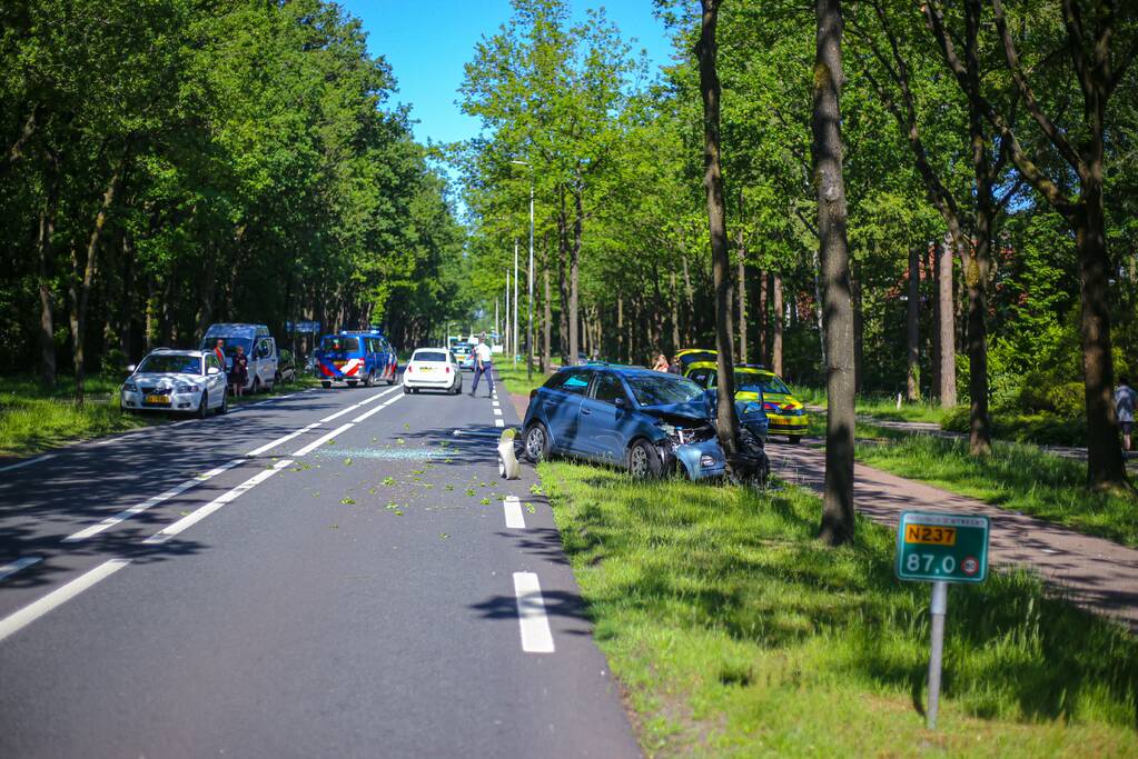 Personenauto belandt op boom