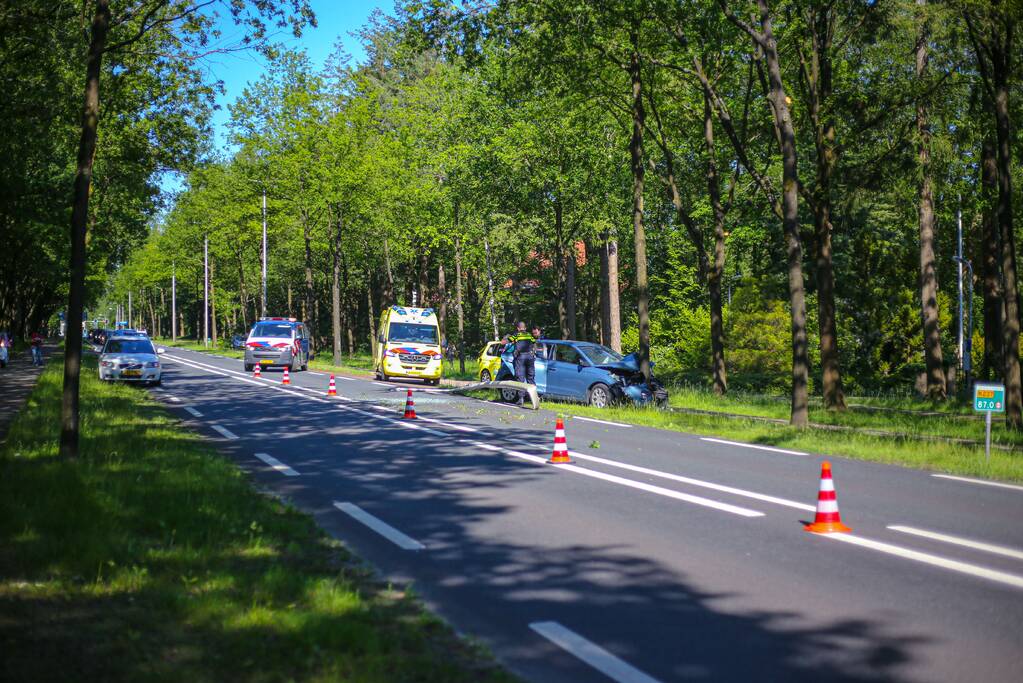 Personenauto belandt op boom