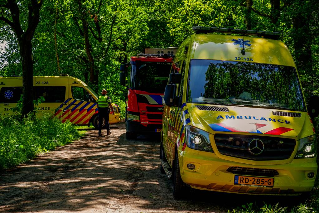 Persoon krijgt trap van veulen en raakt zwaargewond