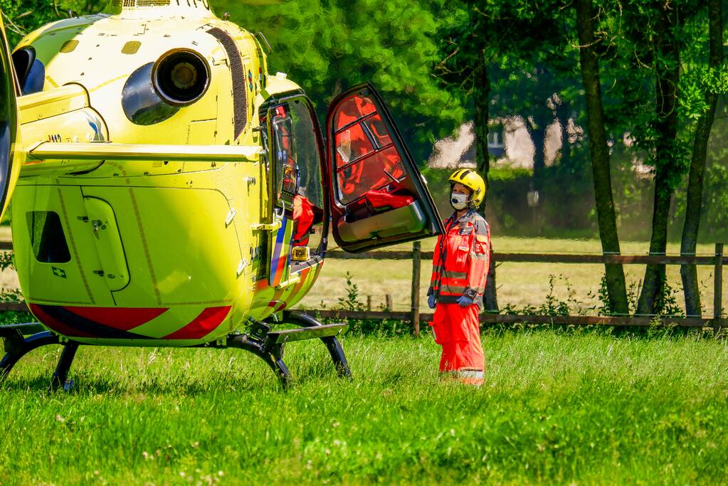 Persoon krijgt trap van veulen en raakt zwaargewond