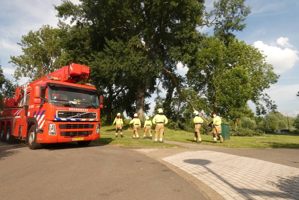 Brandweer zaagt afgebroken tak in stukken