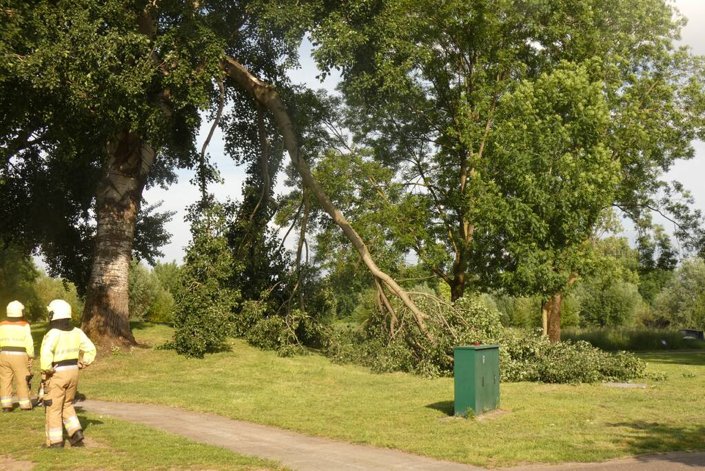 Brandweer zaagt afgebroken tak in stukken