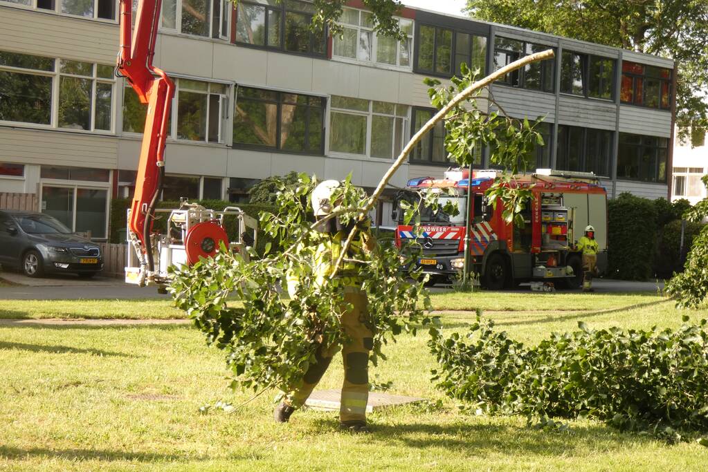 Brandweer zaagt afgebroken tak in stukken