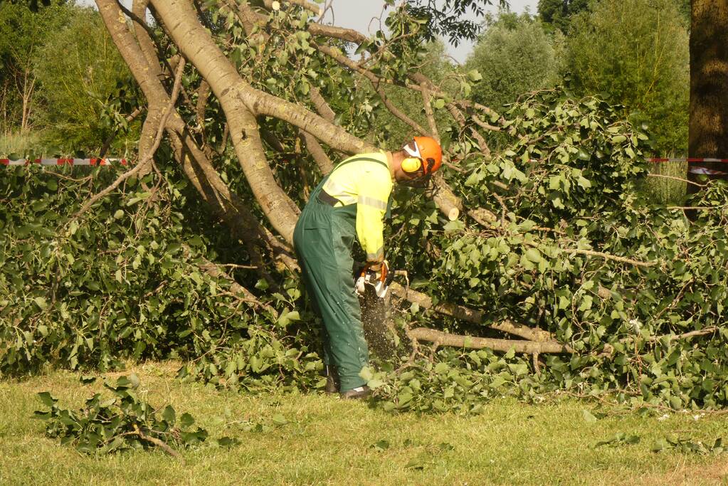 Brandweer zaagt afgebroken tak in stukken