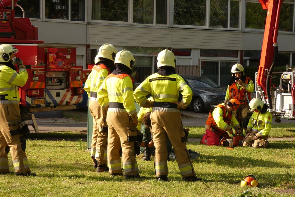 Brandweer zaagt afgebroken tak in stukken