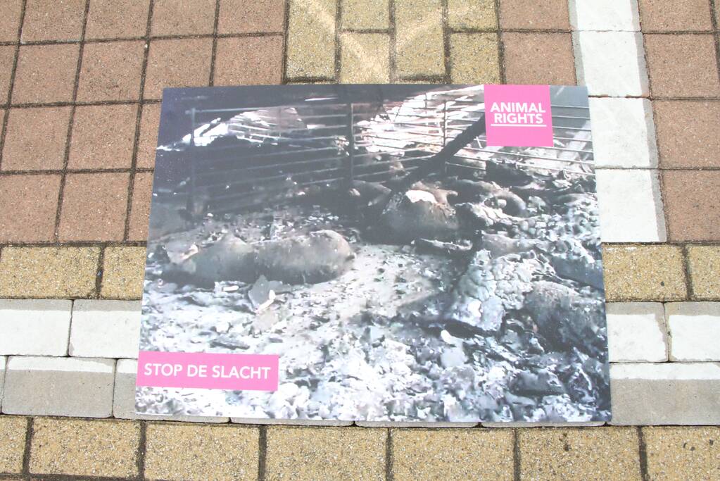 Wake voor omgekomen varkens bij brand