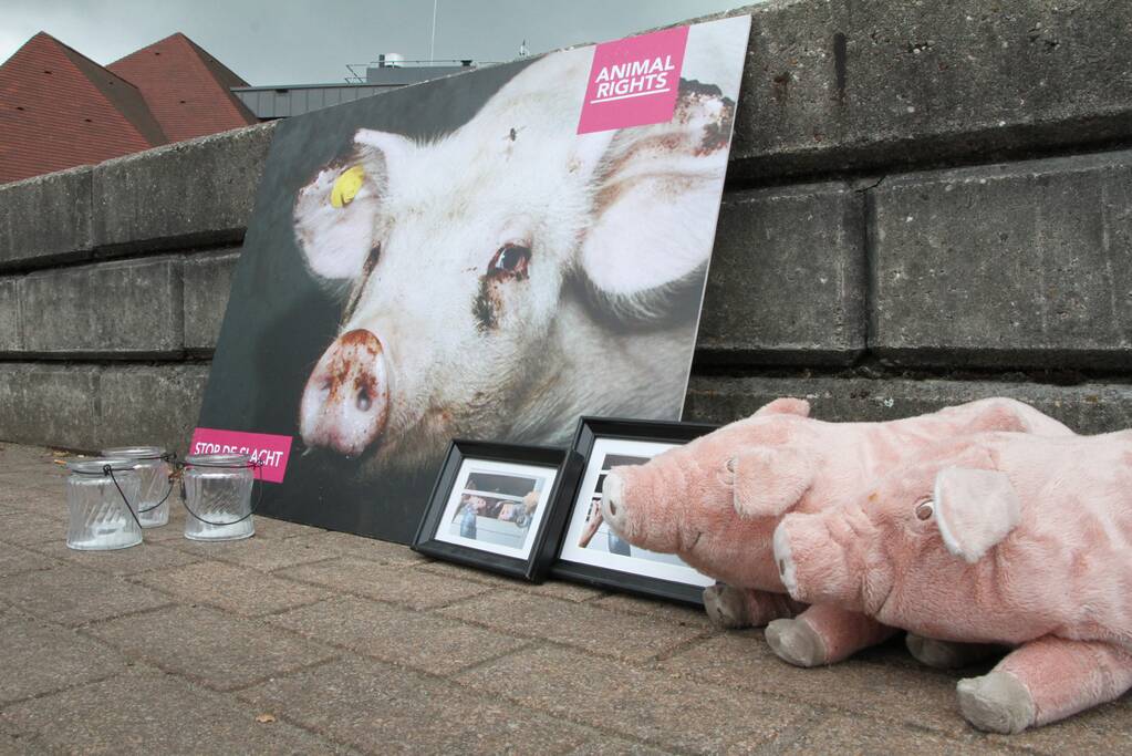 Wake voor omgekomen varkens bij brand