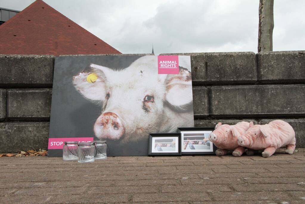 Wake voor omgekomen varkens bij brand