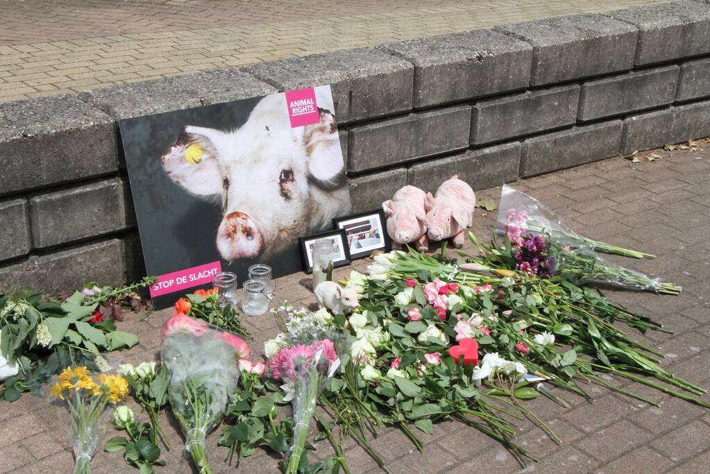 Wake voor omgekomen varkens bij brand