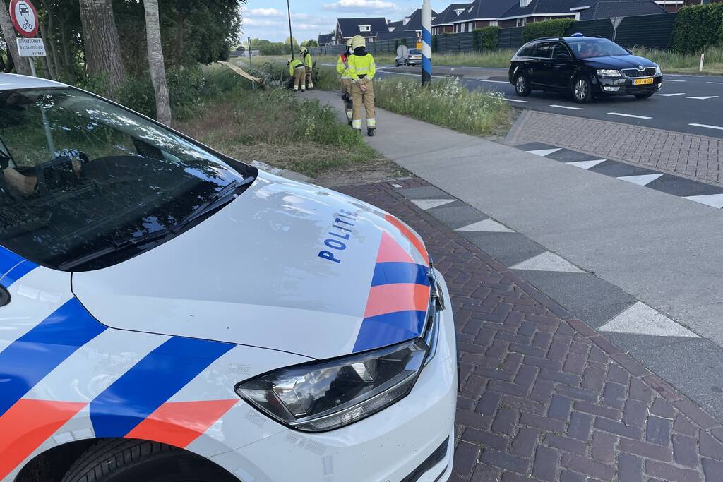 Grote tak breek van boom