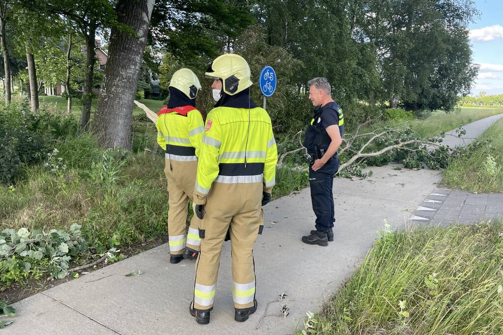 Grote tak breek van boom