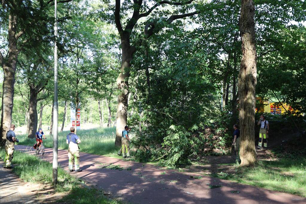 Brandweer verwijdert gevaarlijke hangende tak boven fietspad