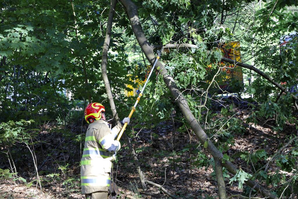 Brandweer verwijdert gevaarlijke hangende tak boven fietspad
