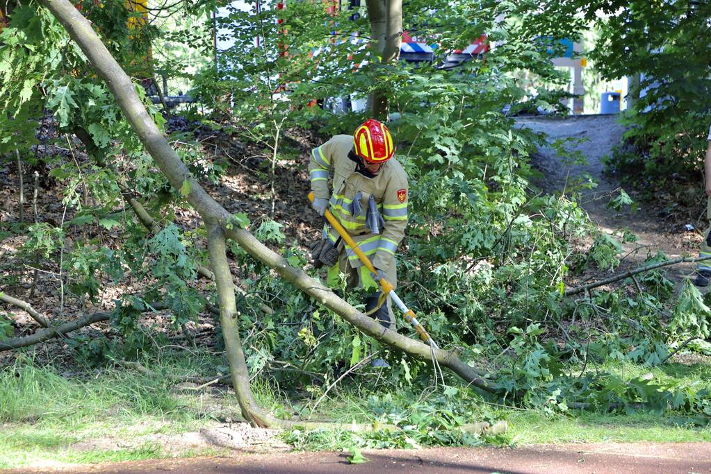 Brandweer verwijdert gevaarlijke hangende tak boven fietspad