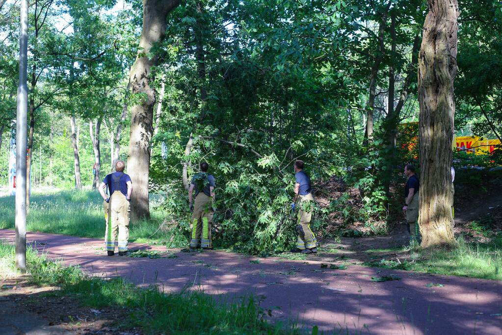 Brandweer verwijdert gevaarlijke hangende tak boven fietspad
