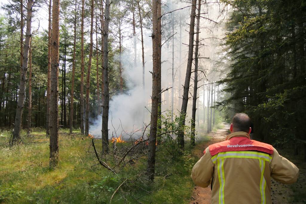 Flinke brand in bosgebeid