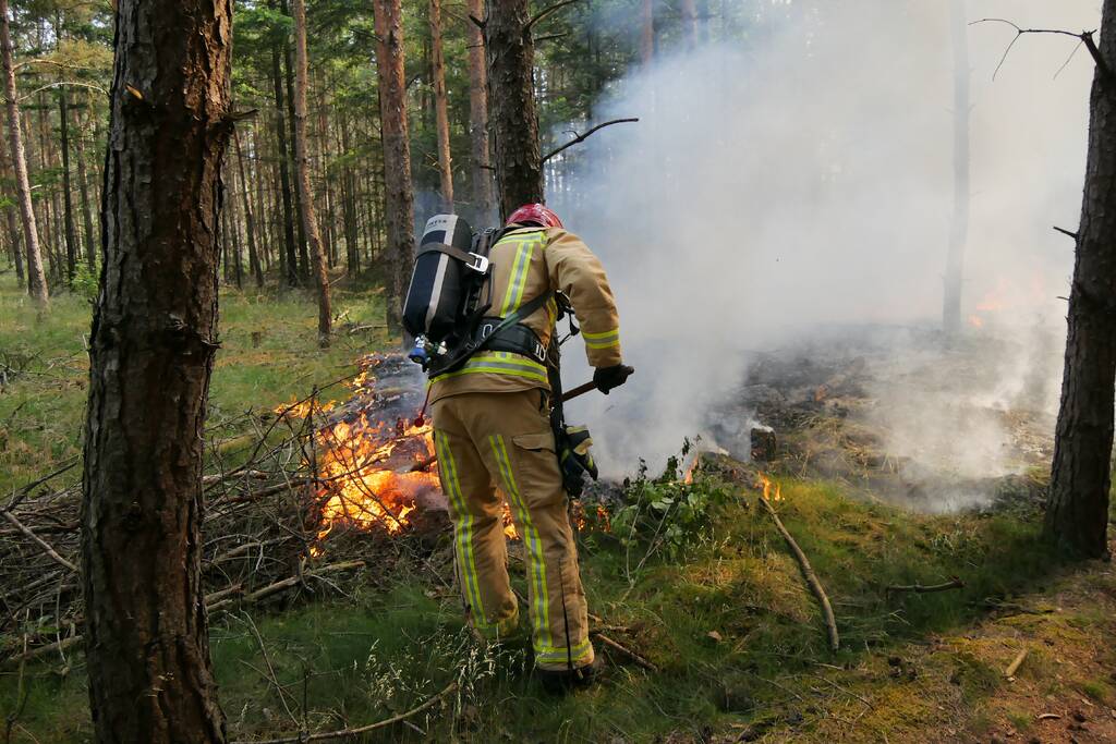 Flinke brand in bosgebeid