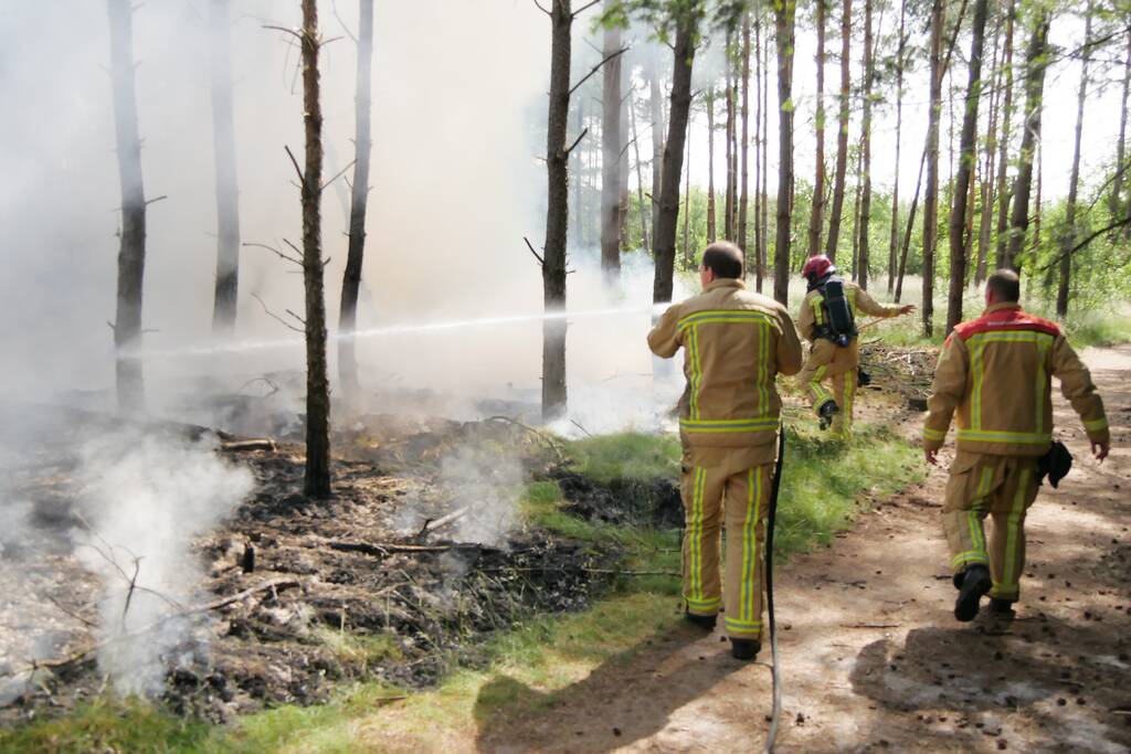 Flinke brand in bosgebeid