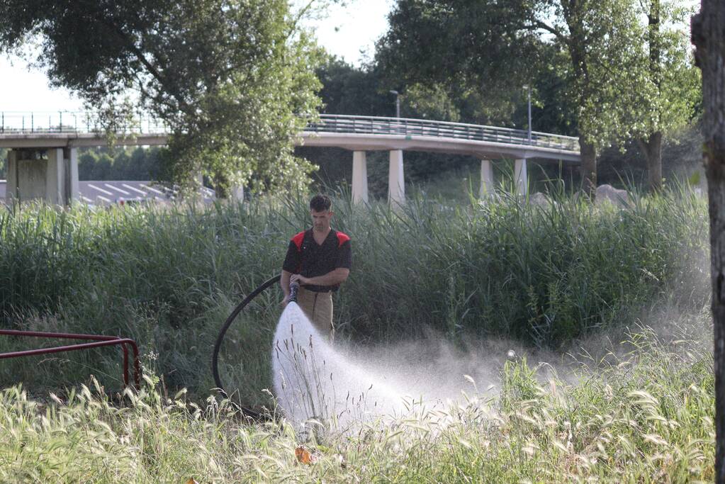 Brandweer blust bermbrand