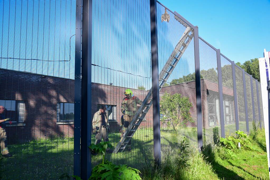 Brandweer bevrijdt eend uit hekwerk Stichting Antes